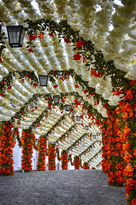 Flores de Papel - Campo Maior.jpg