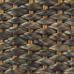 water hyacinth BLACK (1)