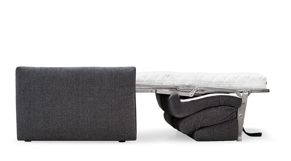 Thumbnail: DARWIN SLEEPER SOFA