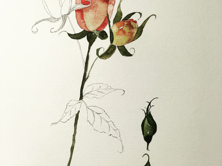 À Propos de Fleurs