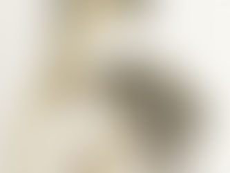 L’Amoureuse - Poète