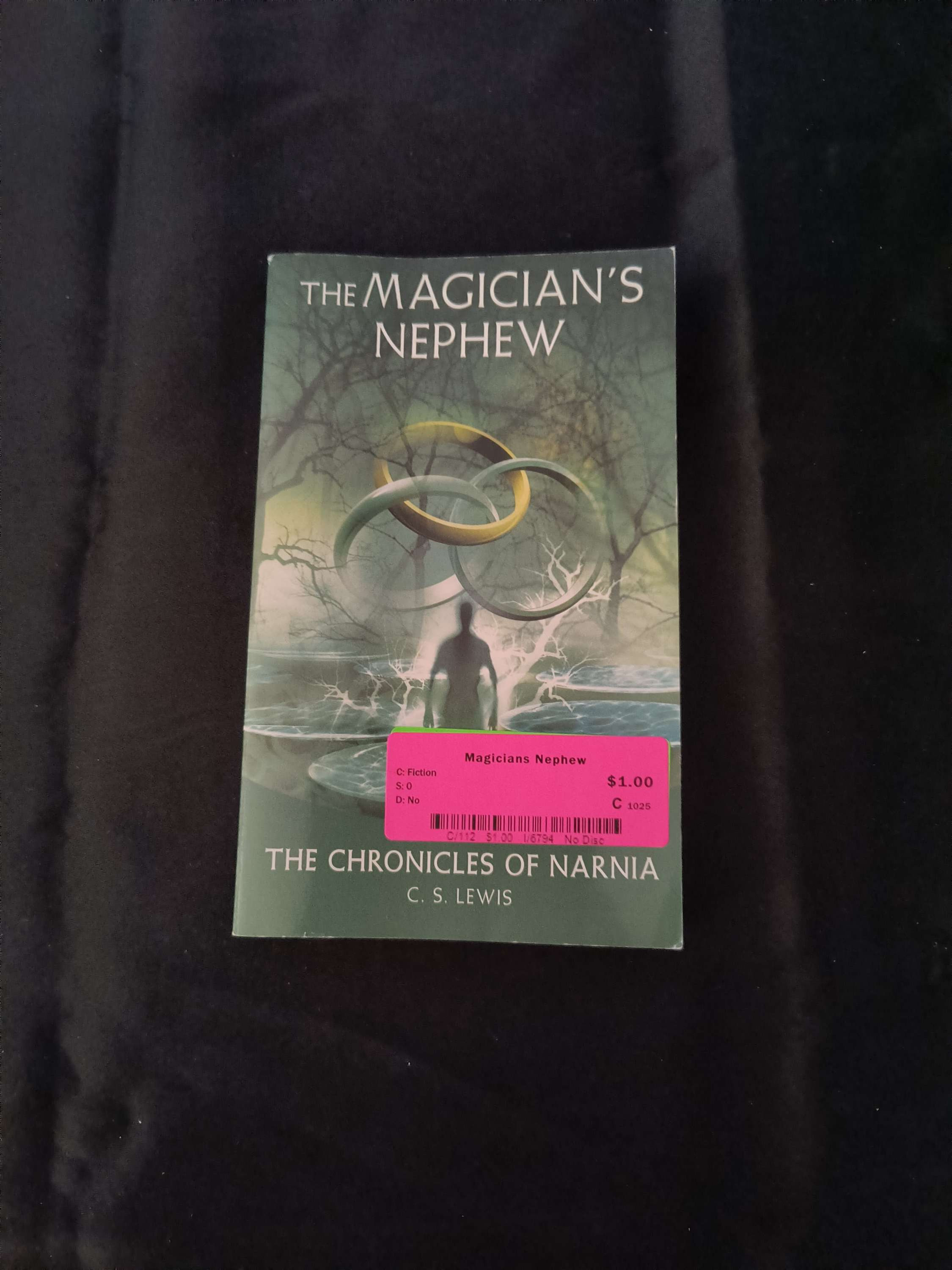 Magician's Nephew by C.S. Lewis