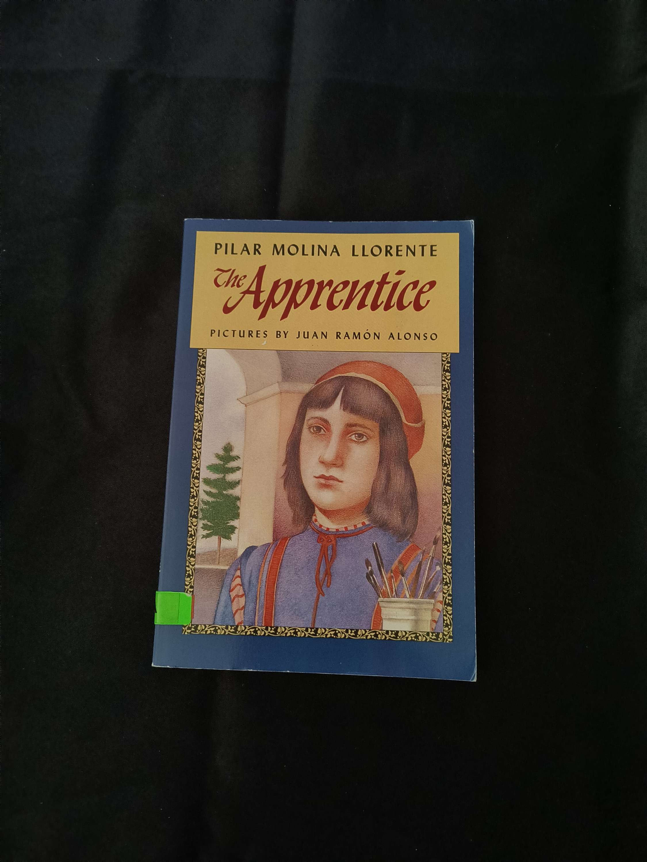 The Apprentice by Pilar Molina LLorente