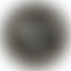 Memory Lane Movies: Preserving Family Heritage Through Expert Media Conversion