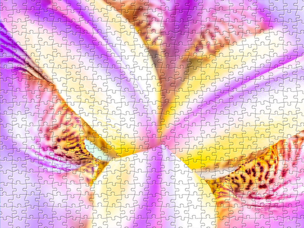 Thumbnail: PUZZLE «MIA»