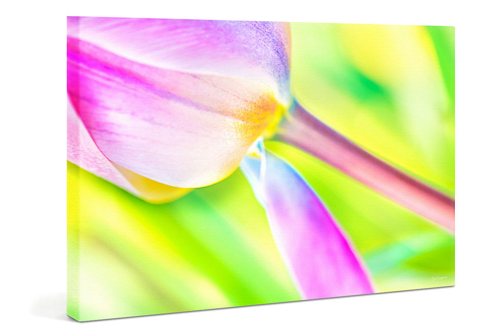 Miniaturbild: WANDBILD «MARIE»