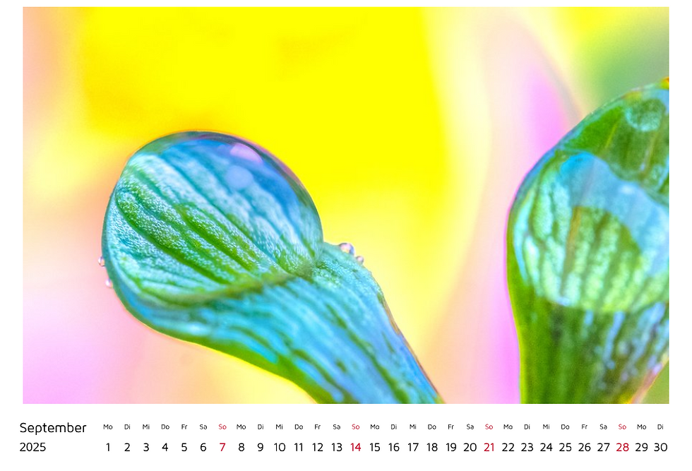 Thumbnail: WANDKALENDER «TROPFEN 2025»