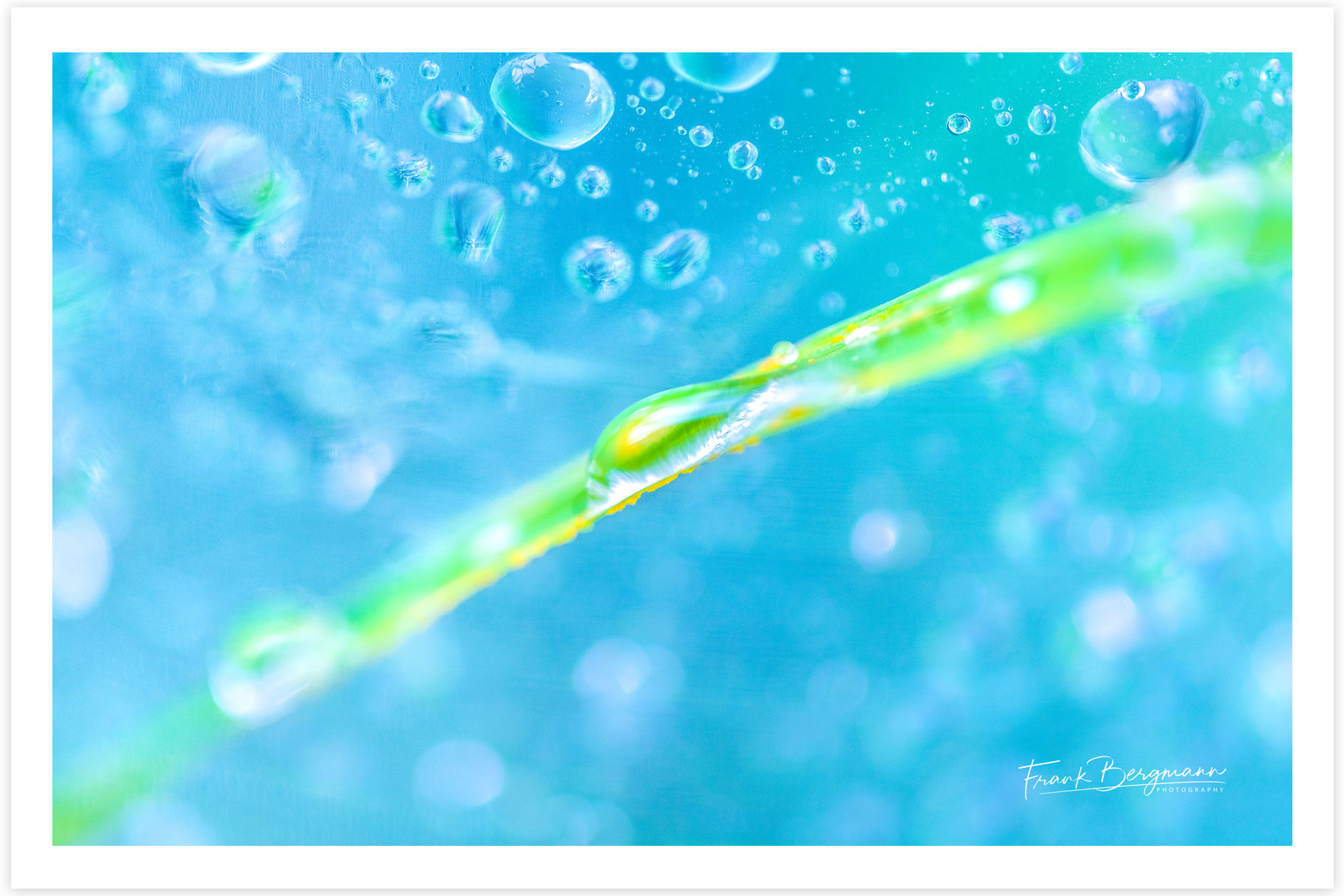 POSTKARTE «UNIVERSUM»