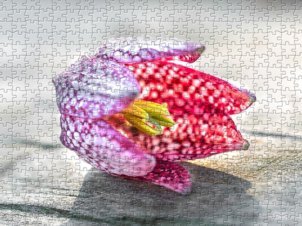Thumbnail: PUZZLE «SOPHIE»