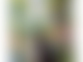 From Mess to Meaning: How Custom Pet Linens Turn Chaos into Charm