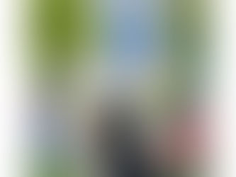 Celebrating the Heart of Home: How Pets Inspire Our Daily Rituals