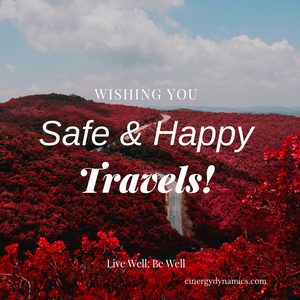 Healthy Travel Tips