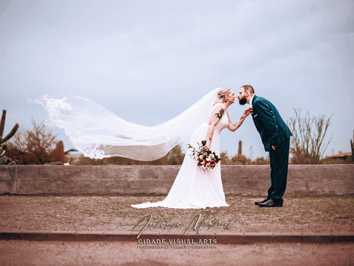 Patricia and Josh's backyard style wedding near the Lost Dutchman Park in Mesa, Arizona