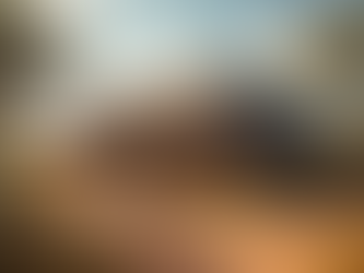 Volunteer for Selati Wildlife Experience