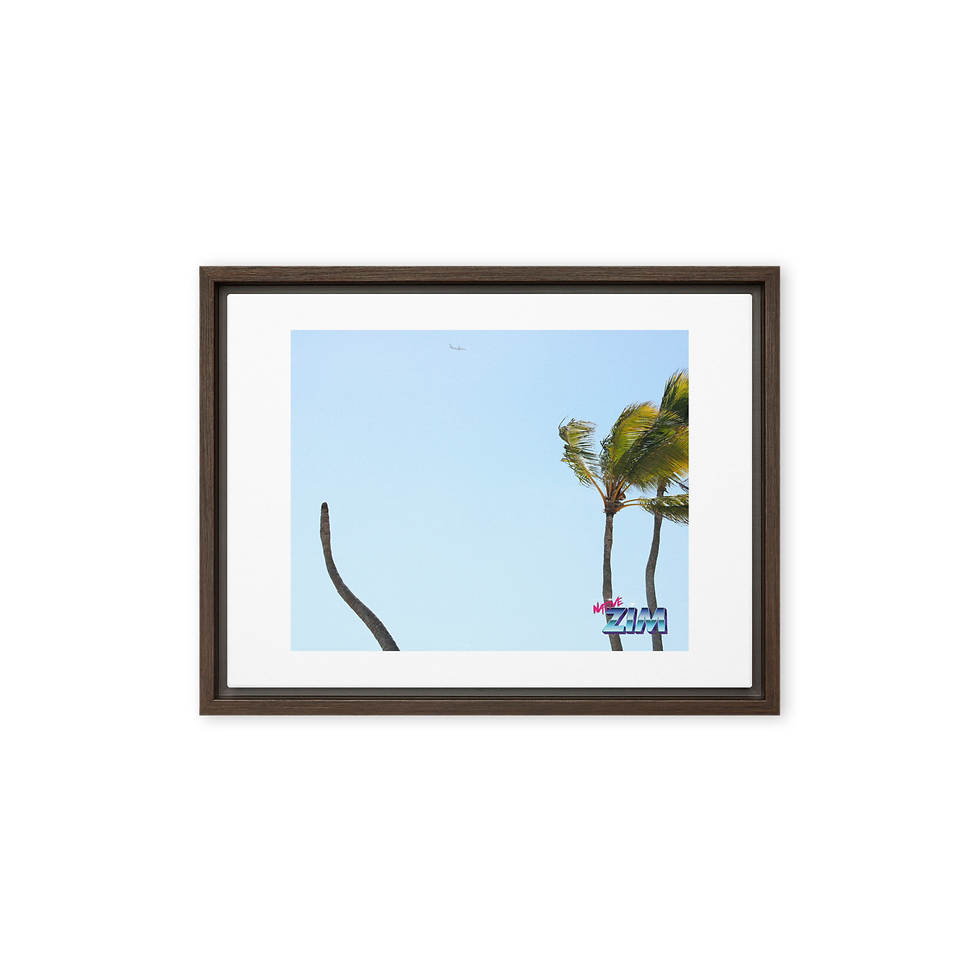 Миниатюра: Punta Cana Palms (WWP Portal) Framed canvas