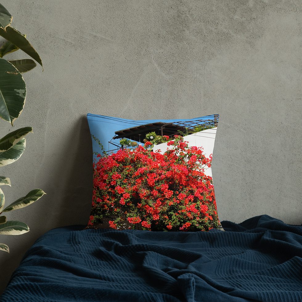 Thumbnail: Santo Domingo Flowers (WWP Portal) Premium Pillow