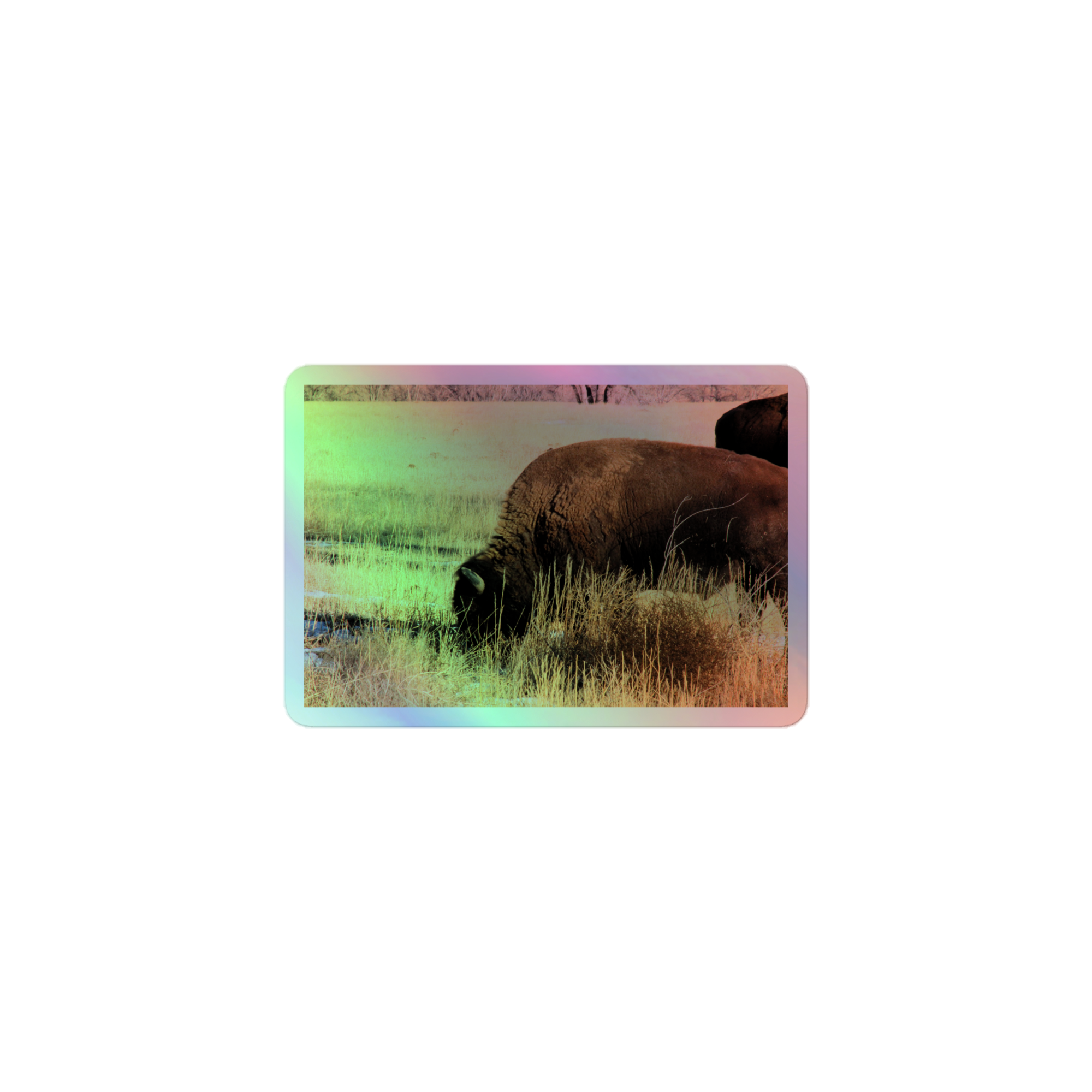 Hump N Horn 5 (WWP Portal) Holographic sticker