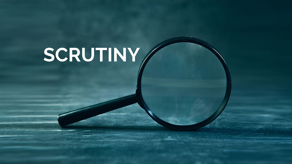 Scrutiny Panel Borough of King's Lynn and West Norfolk
