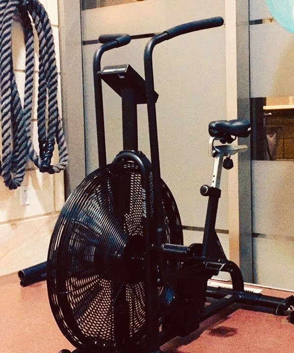 Assault Air Bike