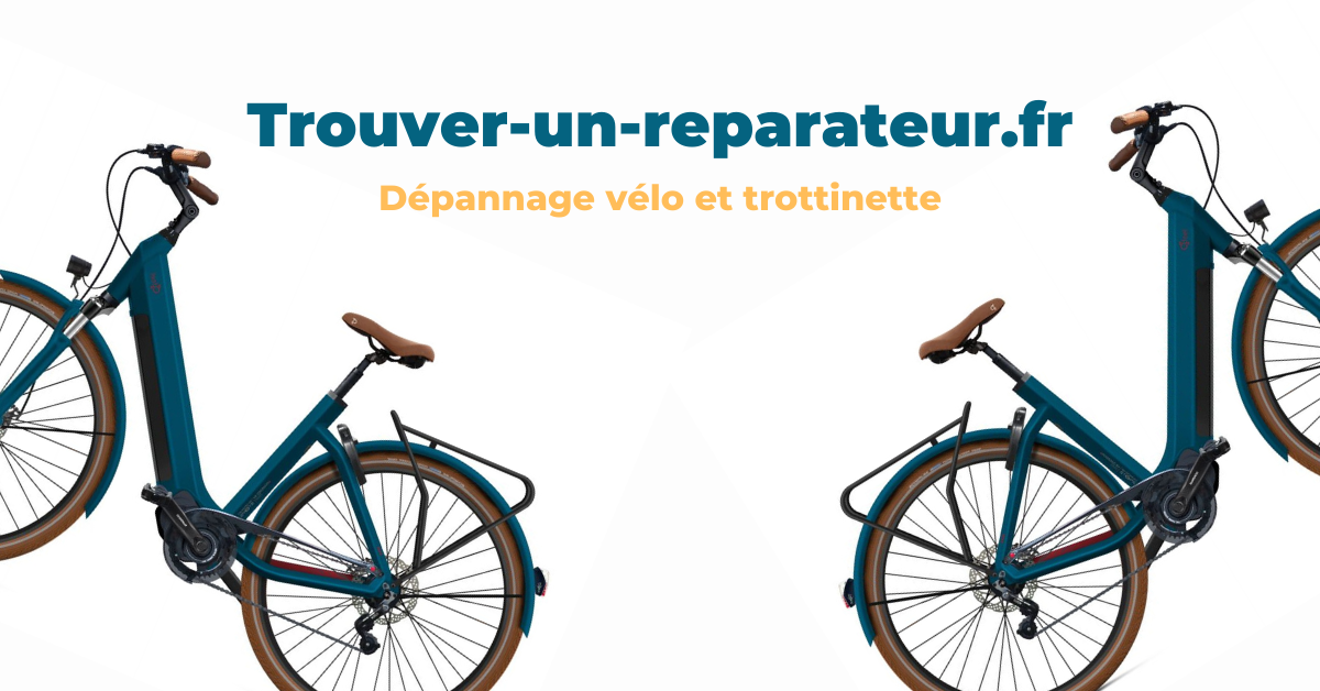 Go sport velo richard lenoir clearance