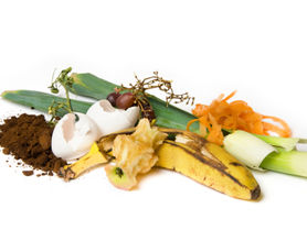 El Reciclaje orgánico o de materia orgánica