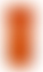 6.- Color Naranja reciclaje (organico)