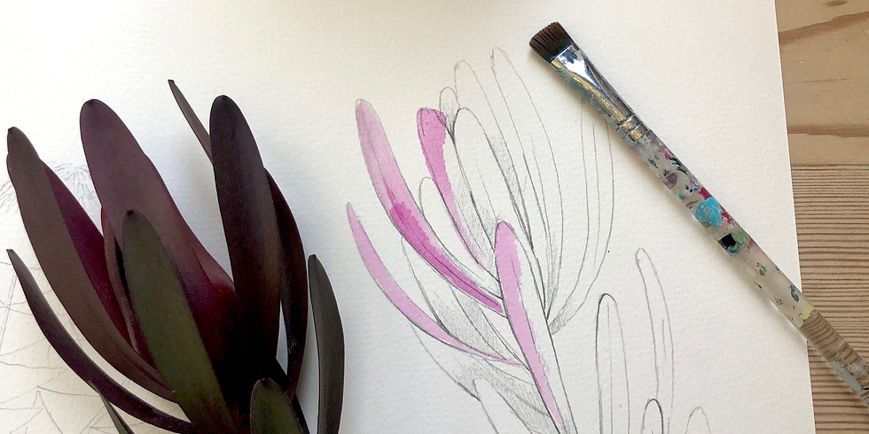 Botanical Illustration Workshop