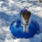 Nessie5