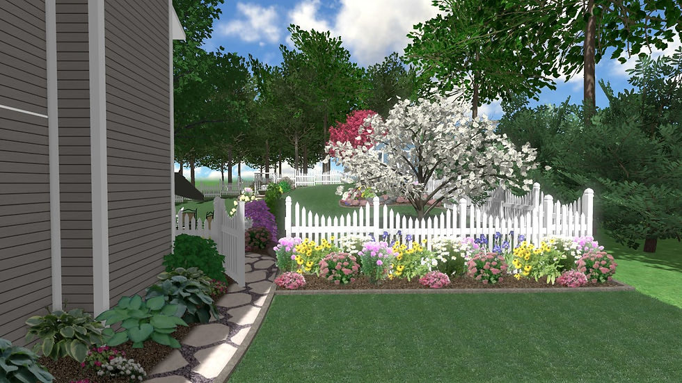 Looking Towards the Backyard