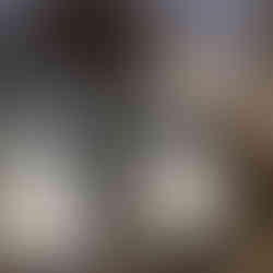 Katie Visual Styles Design-054LR.jpg