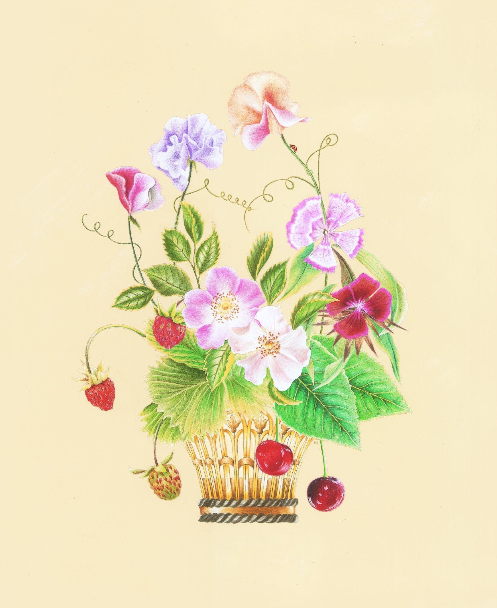 Allotment Basket Printed Fabric Only