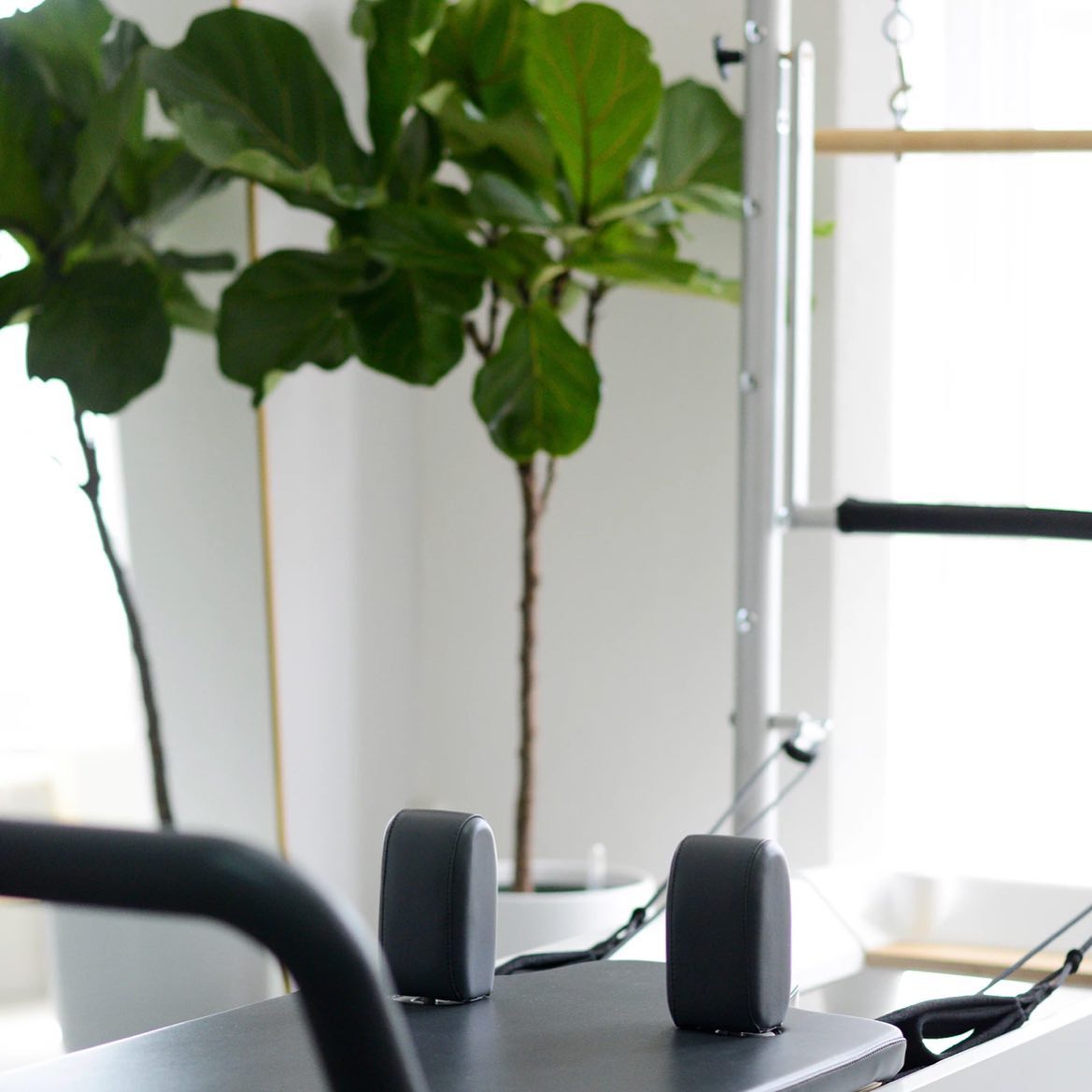 Inside Salt + Bear Pilates