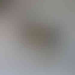 Katie Visual Styles Design-014LR.jpg
