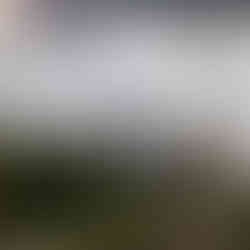 Katie Visual Styles Design-052LR.jpg