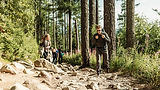 People hiking through mountains