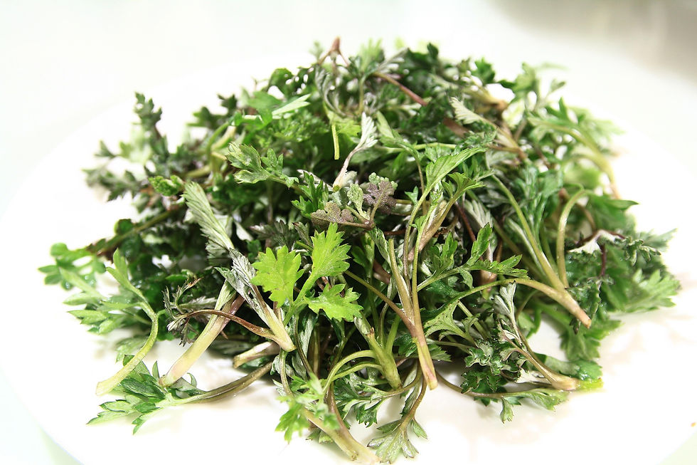 Herbs for Autumn