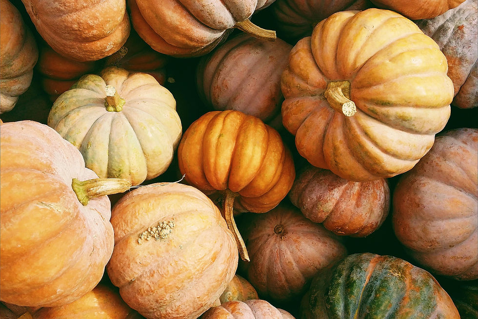 Halloween Herbs pumpkin