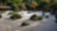 IMG_2528.jpeg