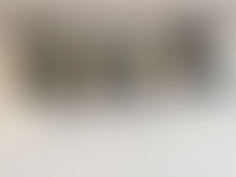 🐨 Kimi Koala 🐨