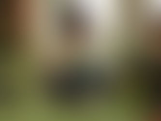 Alla scoperta... della CHITARRA!