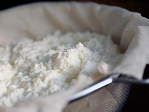 Learn to Make Cheese at Growing Gardeners Workshop!