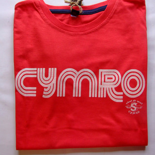 cymro.jpeg