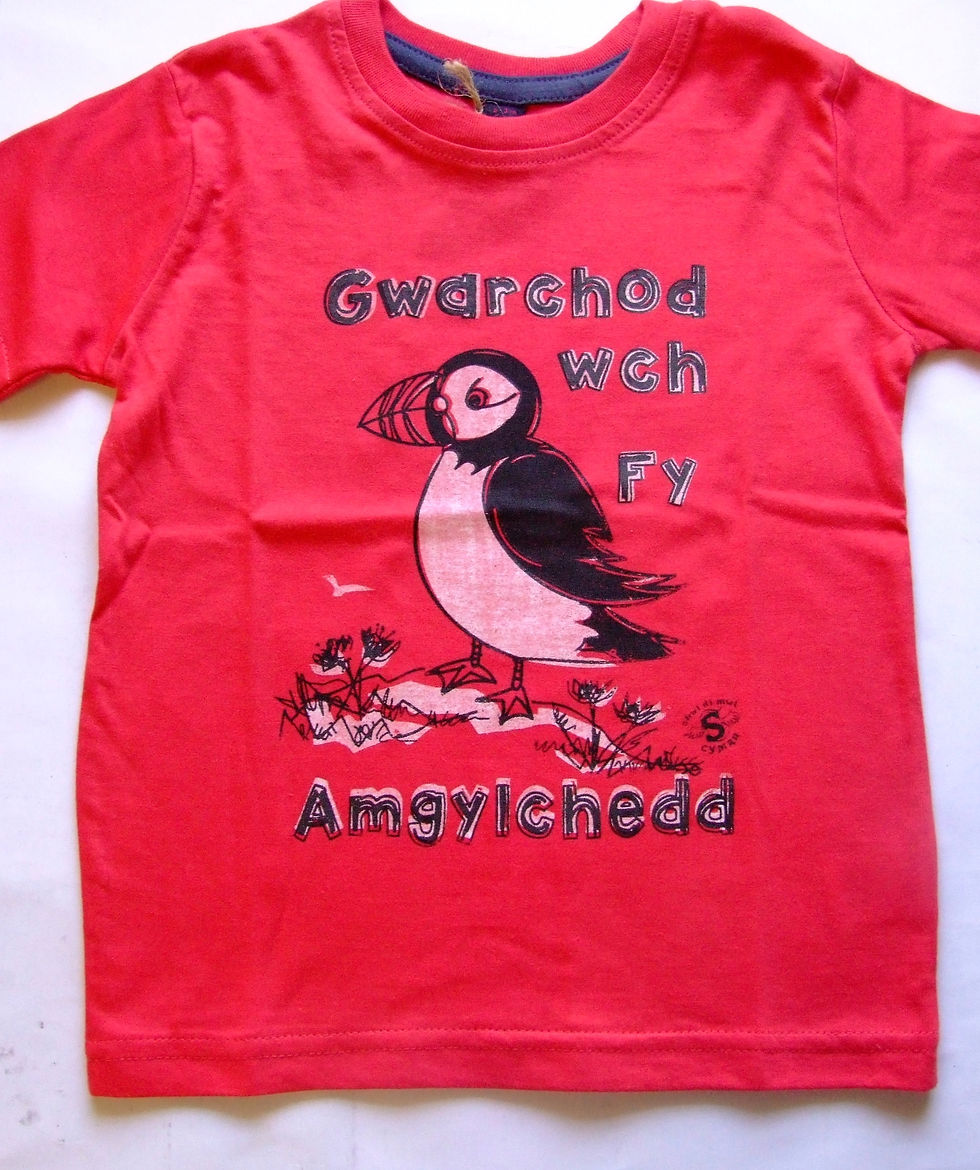 Thumbnail: Puffin Kids T