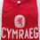 Thumbnail: Crys-T CYMRAEG