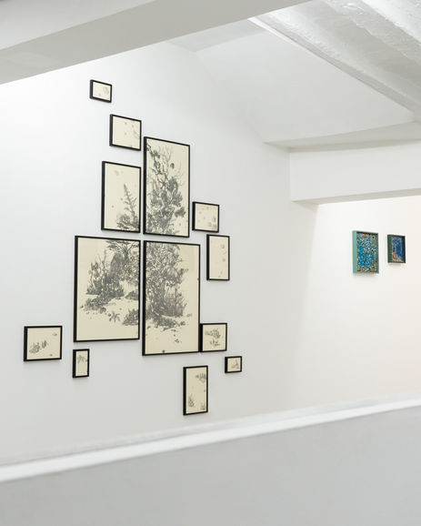 Vue de l'exposition "Ecotone", Galerie Ad Astra, Paris, 2024. INU STUDIO