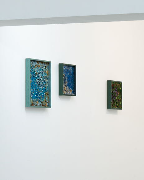 Vue de l'exposition "Ecotone", duo avec Clément Philippe, Galerie Ad Astra, Paris, 29 mai - 2 juin 2024. Photo © INU Studio.