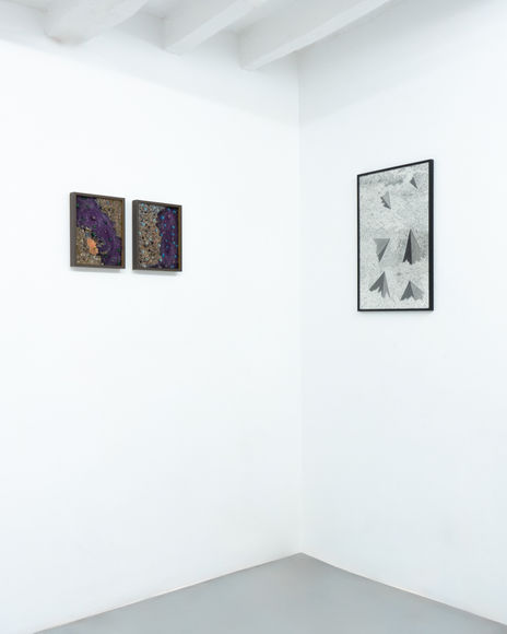 Vue de l'exposition "Ecotone", duo avec Clément Philippe, Galerie Ad Astra, Paris, 29 mai - 2 juin 2024. Photo © INU Studio.