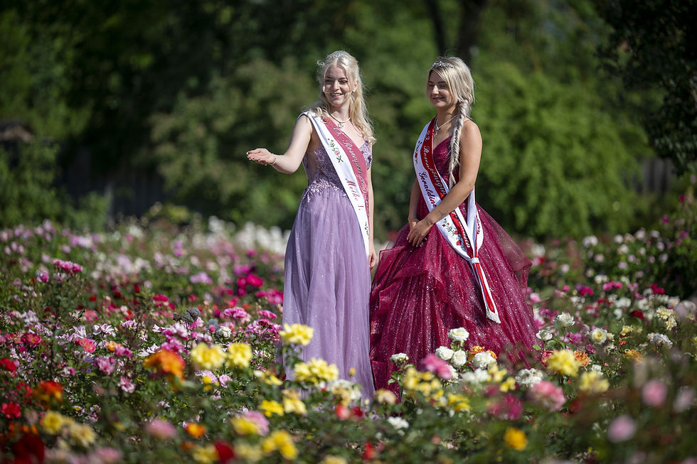 WEB_Rosarium_Königin-Prinzessin-Park_2025_050.jpg