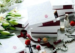 SANERIBOX photoshoot 2016