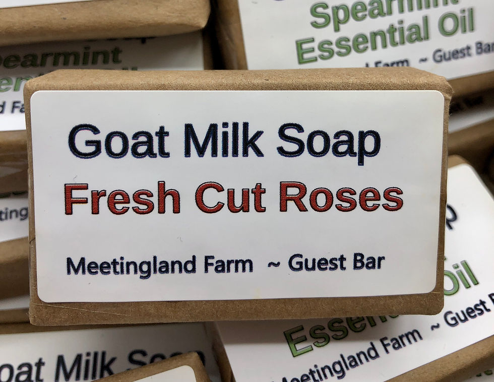 Thumbnail: Hotel Size Guest Bars  Goat Milk Nansoap